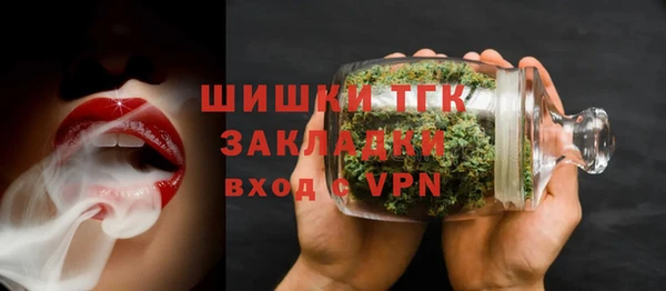 МДПВ Пересвет