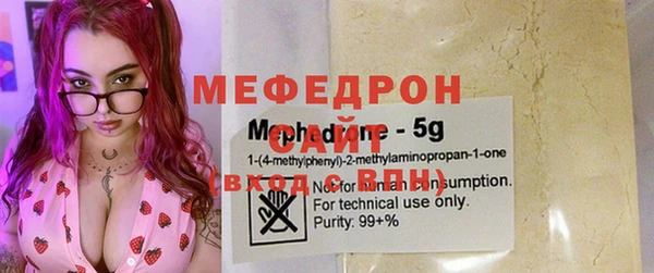 МДПВ Пересвет