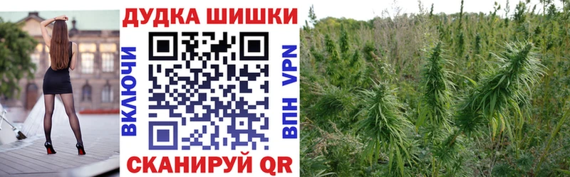 мориарти какой сайт  наркотики  Хилок  МАРИХУАНА SATIVA & INDICA 